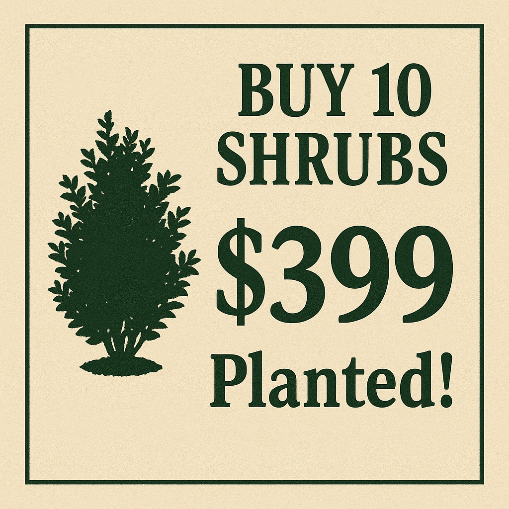 10SHrubs