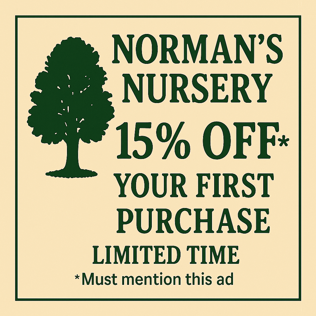 final_15%_off_NN